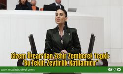 Gizem Özcan'dan Zehir Zemberek Tepki: ‘Bu Teklif Zeytinlik Katliamıdır”