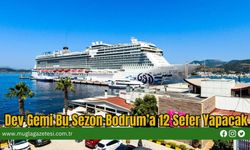 Dev Gemi Bu Sezon Bodrum’a 12 Sefer Yapacak