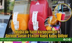 Muğla'da Yazın Vazgeçilmezi: Serinlik Sunan O Lezzet Kapış Kapış Gidiyor