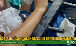 Ağaçtan Düşen Çocuk Korkuluk Demirlerine Saplandı