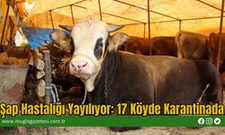 Şap Hastalığı Yayılıyor: 17 Köyde Karantinada