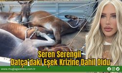 Seren Serengil Datça’daki Eşek Krizine Dahil Oldu
