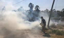 Muğla'da Korkutan Yangın
