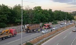 Yola Düşen Tomruk Dehşet Saçtı: Can Pazarı Yaşandı