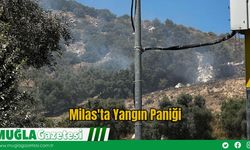 Milas'ta Yangın Paniği