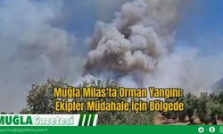 Muğla Milas'ta Orman Yangını: Ekipler Müdahale İçin Bölgede
