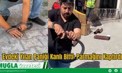 Evdeki Yılan Paniği Kanlı Bitti: Parmağını Kaptırdı