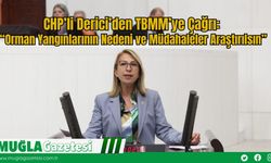 CHP’li Derici’den TBMM’ye Çağrı: “Orman Yangınlarının Nedeni ve Müdahaleler Araştırılsın”