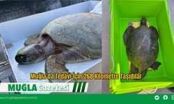 Muğla’da Tedavi İçin 268 Kilometre Taşıdılar