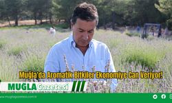 Muğla'da Aromatik Bitkiler Ekonomiye Can Veriyor!