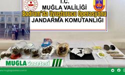 Bodrum’da Uyuşturucu Operasyonu