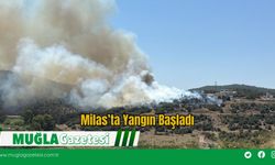 Milas’ta  Yangın Başladı