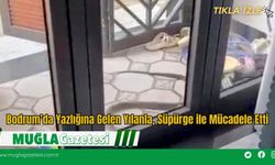 Bodrum’da Yazlığına Gelen Yılanla, Süpürge ile Mücadele Etti