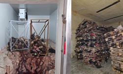 Bozulmuş Hayvan Kafatasları İstiflenmiş Halde Bulundu