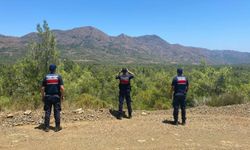 Datça’da Ormana İzinsiz Giren 3 Kişiye Ceza