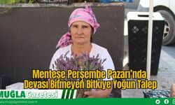 Menteşe Perşembe Pazarı’nda Devası Bitmeyen Bitkiye Yoğun Talep