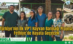 Türkiye’nin İlk VİP’i Hayvan Barınağı Projesi, Fethiye’de Hayata Geçecek