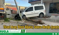 Ticari Araç Önce Ağaca, Sonra Direğe Çarptı