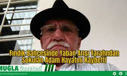 Fındık Bahçesinde Yaban Arısı Tarafından Sokulan Adam Hayatını Kaybetti