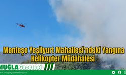 Menteşe Yeşilyurt Mahallesi'ndeki Yangına Helikopter Müdahalesi