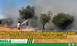 Milas Pınarcık'ta Zeytinlik ve Makilik Alanda Yangın: Havadan ve Karadan Müdahale Sürüyor