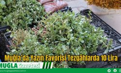 Muğla’da Yazın Favorisi Tezgâhlarda 10 Lira