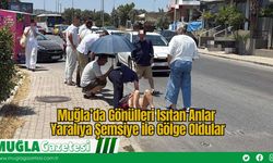 Muğla’da Gönülleri Isıtan Anlar: Yaralıya Şemsiye ile Gölge Oldular