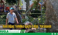 Anıt Ağaç Tehlike Saçtı 3 Kişi Yaralandı