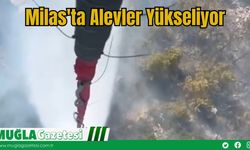 Milas'ta Alevler Yükseliyor