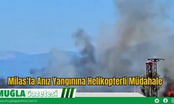Milas'ta Anız Yangınına Helikopterli Müdahale