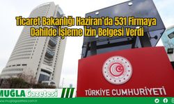 Ticaret Bakanlığı Haziran’da 531 Firmaya Dahilde İşleme İzin Belgesi Verdi