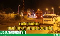 Evlilik Teklifinde Havai Fişekler Yangına Neden Oldu
