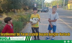 Seydikemer’de Yaralı Leyleği Duyarlı Gençler Kurtardı