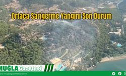 Ortaca Sarıgerme Yangını Son Durum