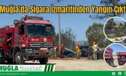 Muğla'da Sigara İzmaritinden Yangın Çıktı