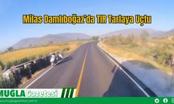 Milas Damlıboğaz’da TIR Tarlaya Uçtu