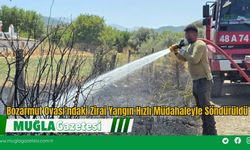 Bozarmut Ovası'ndaki Zirai Yangın Hızlı Müdahaleyle Söndürüldü