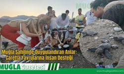 Muğla Sahilinde Duygulandıran Anlar: Caretta Yavrularına İnsan Desteği