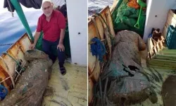 Marmaris’te Bulunmuştu: ‘Denizden Gelen Kadın’ Gün Yüzüne Çıkıyor