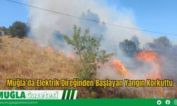 Muğla'da Elektrik Direğinden Başlayan Yangın Korkuttu