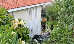 Muğla'da Arı Tatili Kabusa Çevirdi: Aile Uçurumdan Uçtu