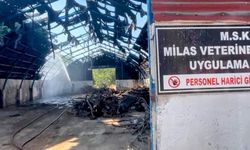 Milas'ta Hızlı Müdahale Faciayı Önledi