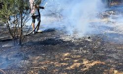 Bodrum’da Yangın Paniği: Ot Yangını Hızla Söndürüldü
