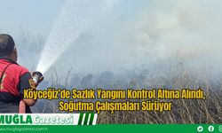 Köyceğiz’de Sazlık Yangını Kontrol Altına Alındı, Soğutma Çalışmaları Sürüyor