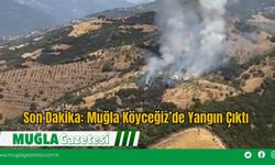 Son Dakika: Muğla Köyceğiz’de Yangın Çıktı