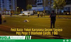 Feci Kaza: Yolun Karşısına Geçen Yayaya Peş Peşe 2 Otomobil Çarptı, 1 Ölü