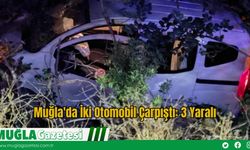 Muğla'da İki Otomobil Çarpıştı: 3 Yaralı