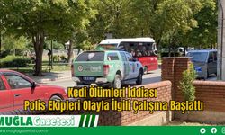 Kedi Ölümleri İddiası: Polis Ekipleri Olayla İlgili Çalışma Başlattı