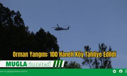 Orman Yangını: 100 Haneli Köy Tahliye Edildi