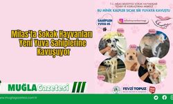 Milas'ta Sokak Hayvanları Yeni Yuva Sahiplerine Kavuşuyor